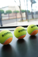 BOLAS DE BEACH TENNIS ZAND